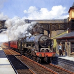 Изображение 497